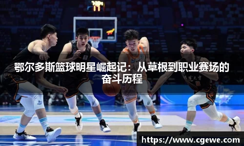 ABG欧博登录入口