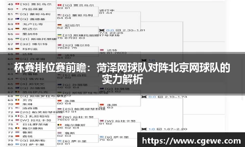 杯赛排位赛前瞻：菏泽网球队对阵北京网球队的实力解析